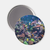 Tropical Beaches | Underwater Coral Reef Magneet (Voorkant / Achterkant)