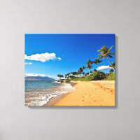 Tropical Beaches | Wailea, Maui, Hawaii