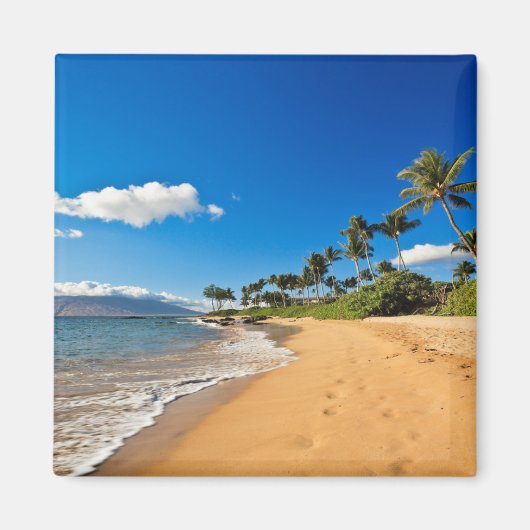Tropical Beaches | Wailea, Maui, Hawaii Magneet (Voorkant)