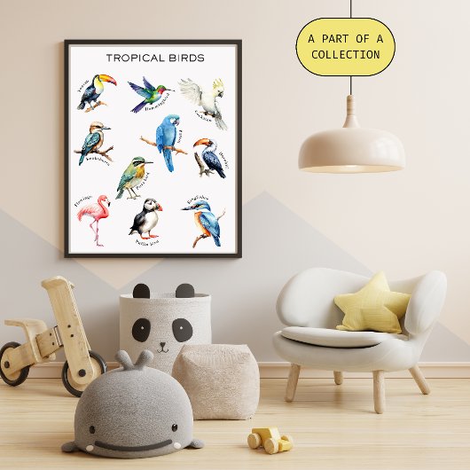Tropical Birds Educational Poster Perfect Poster