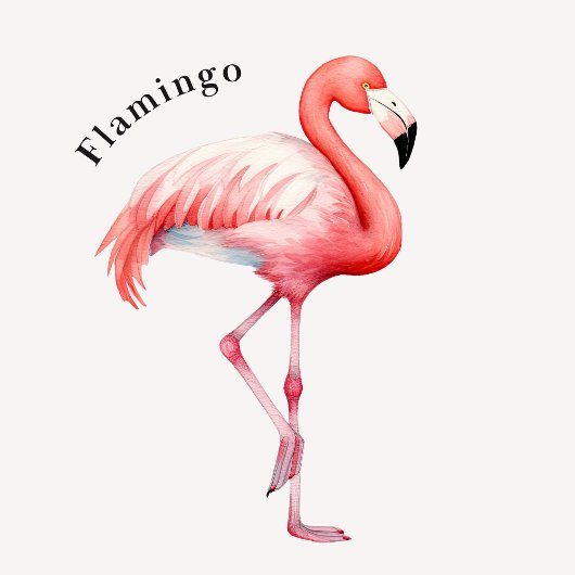 Tropical Birds Educational Poster Perfect Poster