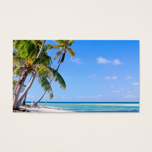 Tropical coastline (Devant)