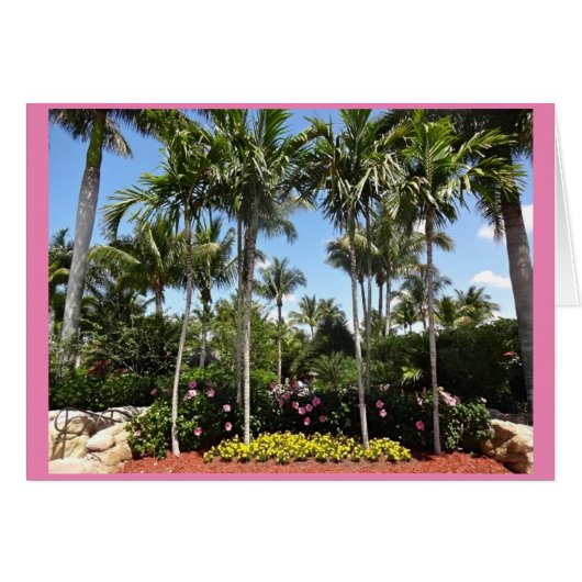 Tropical Coconut Plantation Bonita Springs Floride (Devant horizontal)