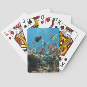 Tropical Fish Chaos Pokerkaarten