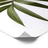 Tropical Flowers Poster (Hoek)