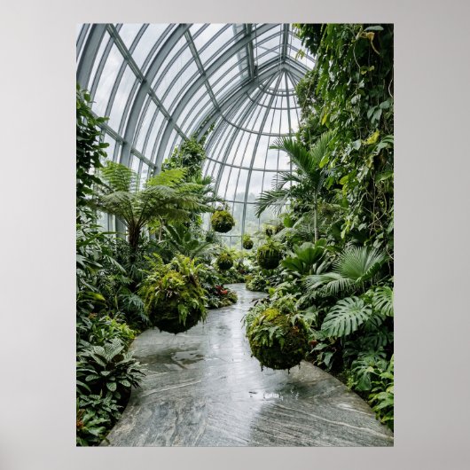 Tropical Greenhouse Jungle Path Poster (Voorkant)