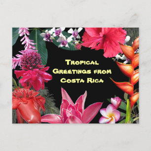 Tropical Greetings from Costa Rica Briefkaart