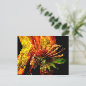 Tropical Lionfish Fotokunst Briefkaart (Staand voorkant)