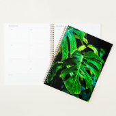 Tropical Monstera Glow – Jungle Leaf Photography (Devant avec enveloppe)