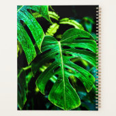 Tropical Monstera Glow – Jungle Leaf Photography (Dos)