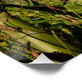 Tropical Palm Fruit Bali Square Art Poster (Coin)