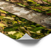 Tropical Palm Fruit Island Landscape Poster Print (Coin)