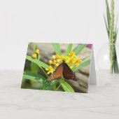 Tropical Queen Butterfly, FL - kaart (Voorkant)