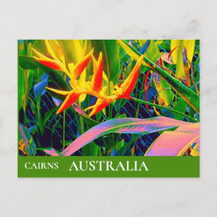 Tropical Queensland Australia vintage Briefkaart
