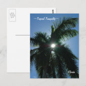 Tropical Tranquilité Floride Carte postale (Devant / Derrière)