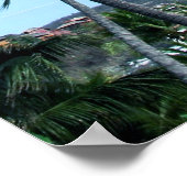 Tropicaltravel.net Poster (Hoek)