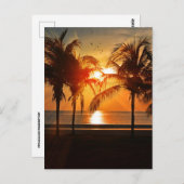 TROPISCH BEDRIJF SUNSET BRIEFKAARTEN (Voorkant / Achterkant)