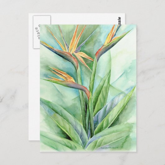 Tropisch bladervogel van het paradijsje - meervoud briefkaart (Voorkant / Achterkant)