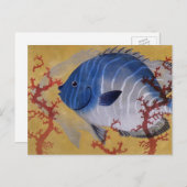 tropisch blauw viskoraal in de zee briefkaart (Voorkant / Achterkant)