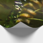 Tropisch bos van Palm Trees Houten Poster (Hoek)