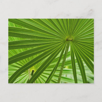 Tropisch Briefkaart