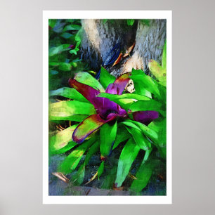 Tropisch Bromeliad Poster