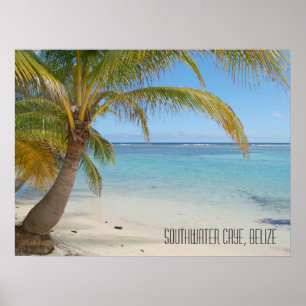 Tropisch Caribisch Eiland Belize Strand en Palmen Poster