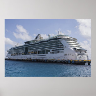 Tropisch cruiseschip poster