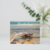 Tropisch drijfhout Bahia Honda Beach Foto Briefkaart (Staand voorkant)
