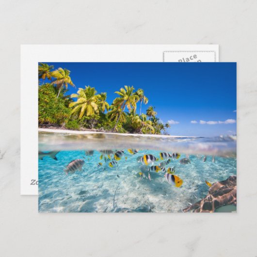 Tropisch eiland onder en boven water briefkaart (Voorkant / Achterkant)