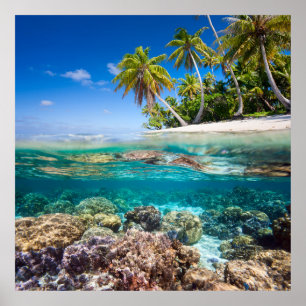Tropisch eiland onder en boven water poster