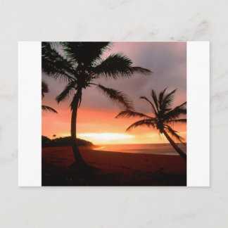 Tropisch eiland Palms Dominicaanse Republiek Briefkaart