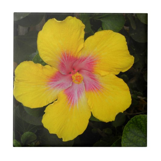 Tropisch geel Hibiscus Floral Tile Hawaii Tegeltje (Voorkant)