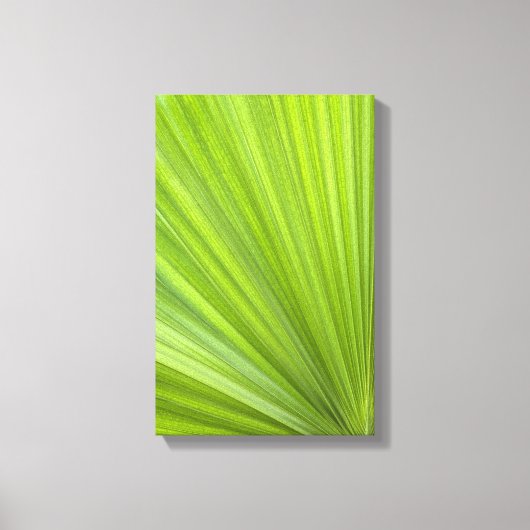 Tropisch groen palm rond canvas afdruk (Voorkant)