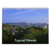 Tropisch Hawaii Kalender (Hoes)