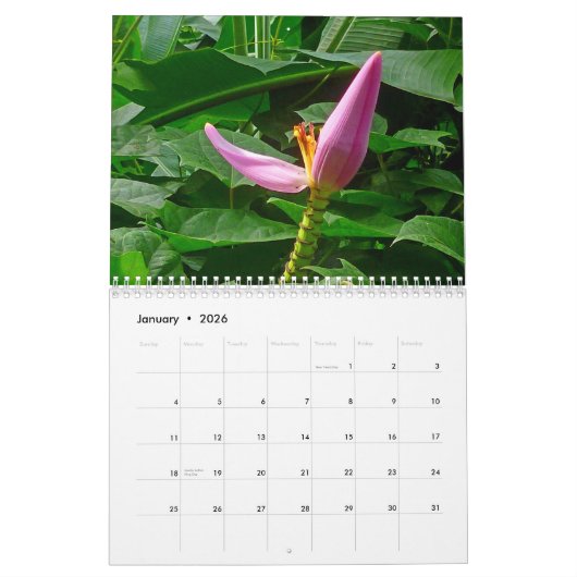 Tropisch Hawaii Kalender (Jan 2026)