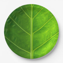 Tropisch leder verwijderbare papieren Borden