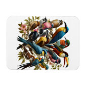 Tropisch Magneet (Horizontaal)