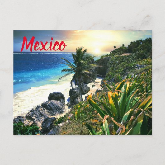 Tropisch Mexico Beach Shore Sunset Palm Island Briefkaart (Voorkant)