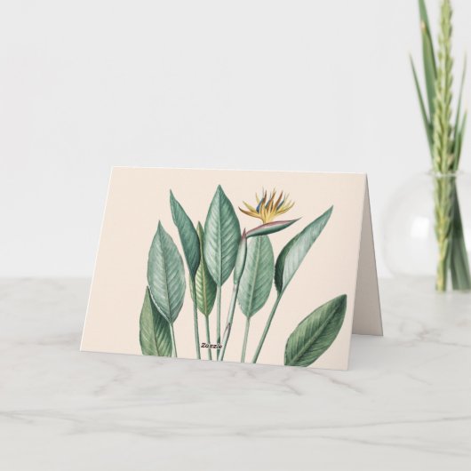 Tropisch Oerwoud bananenboom Strelitzia Dank u wel Kaart (Achterkant)