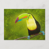 Tropisch Oerwoud Toucan Bird Digitale Schilderij Briefkaart (Voorkant)