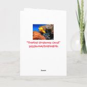 Tropisch onderzeese koraal kaart (Achterkant)