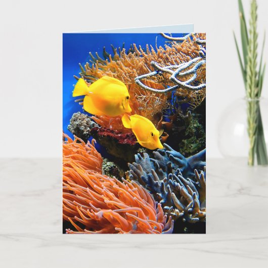 Tropisch onderzeese koraal kaart (Voorkant)