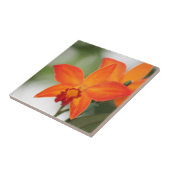 Tropisch Orchid Tile Tegeltje (Zijkant)