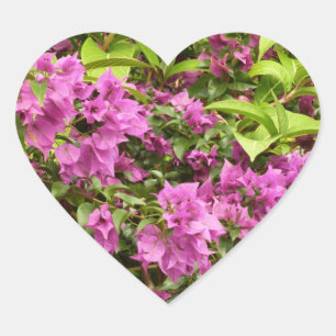 Tropisch Paarse Bougainvillea Floral Hart Sticker