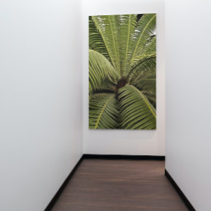 Tropisch palm Botanische Kunstdion Spinulosum Poster
