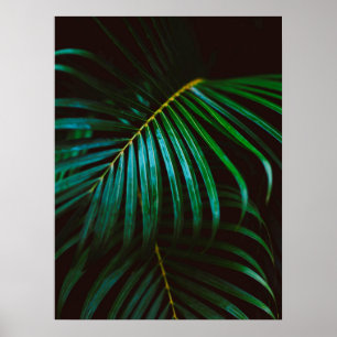 Tropisch palmlef groen, verzachtend, medium poster