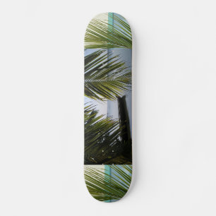 Tropisch Paradijs Water Strand Zand Surf Bestemmin Skateboard