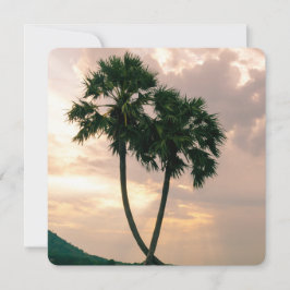 Tropisch Paradise Beach Palm Destiny's