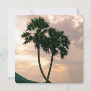 Tropisch Paradise Beach Palm Destiny's
